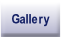 Gallery.